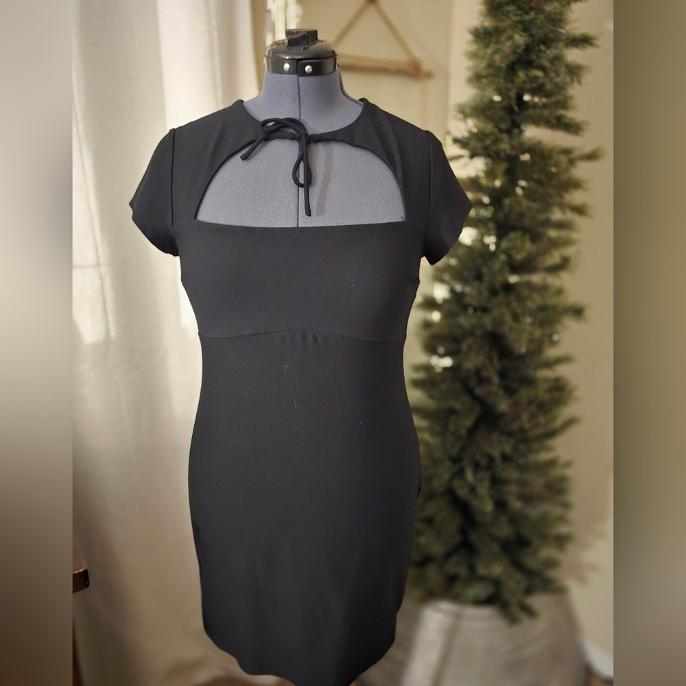 Elegant Black Women's Dress
